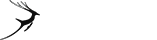 无病毒无后门的手机版ddos攻击器